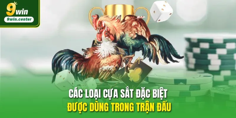Các loại cựa sắt đặc biệt được dùng trong trận đấu