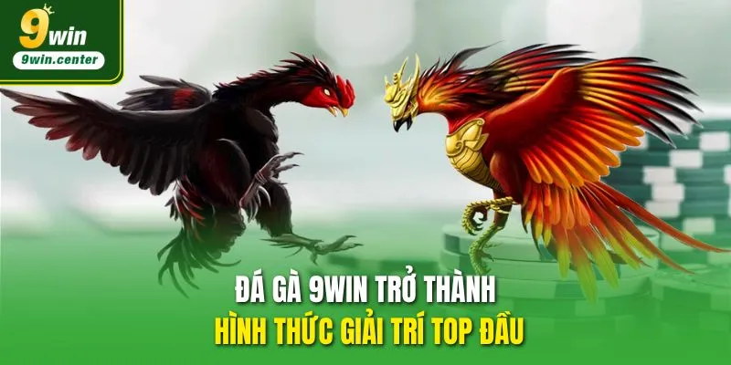 Đá gà 9WIN trở thành hình thức giải trí top đầu