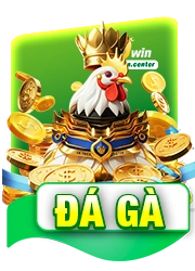đá gà 9win