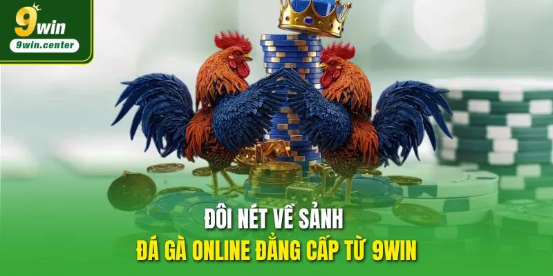 Đôi nét về sảnh Đá gà 9WIN online đẳng cấp 