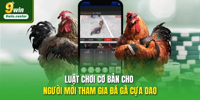 Luật chơi cơ bản cho người mới tham gia đá gà cựa dao