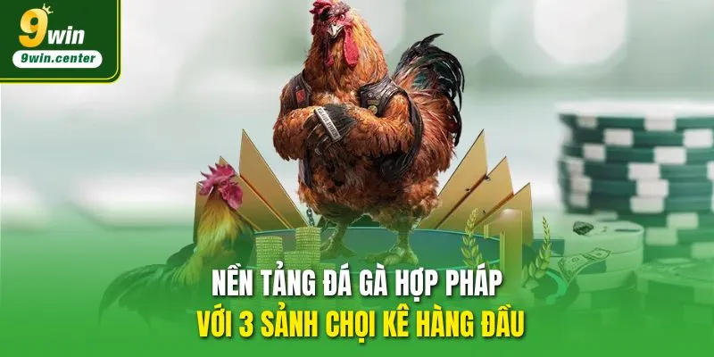 Nền tảng Đá gà 9WIN hợp pháp với 3 sảnh chọi kê hàng đầu