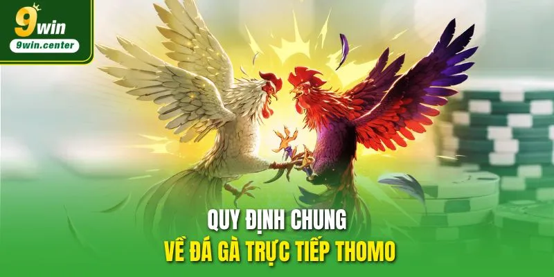 Quy định chung về Đá gà trực tiếp Thomo