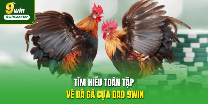 Tìm hiểu toàn tập về đá gà cựa dao 9WIN